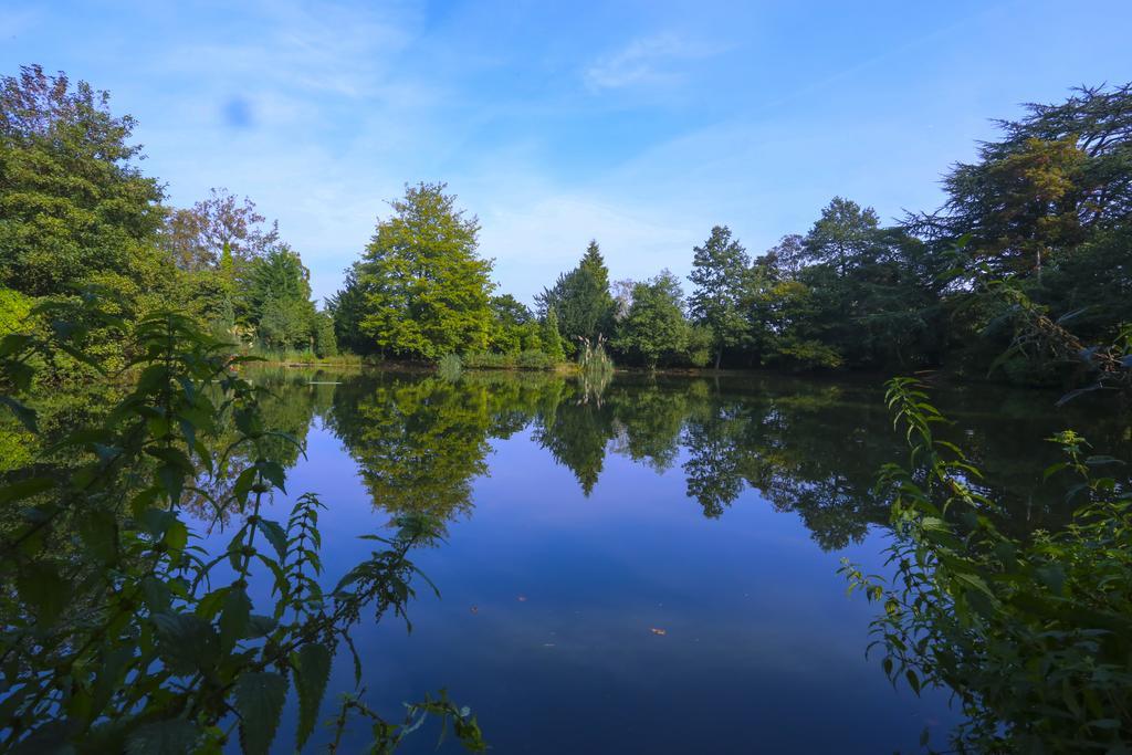 Worplesdon Place Hotel ギルフォード 部屋 写真