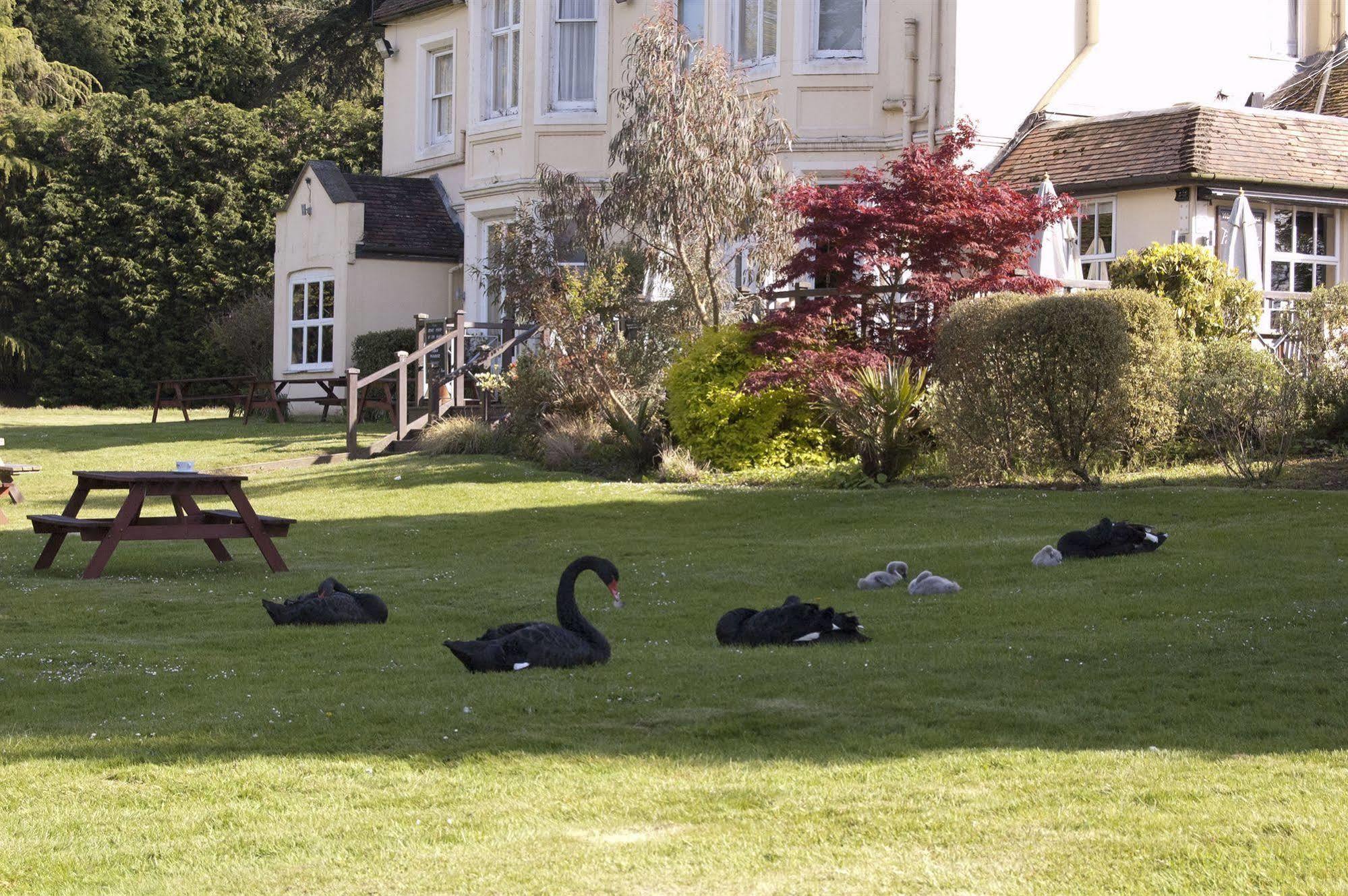 Worplesdon Place Hotel ギルフォード エクステリア 写真